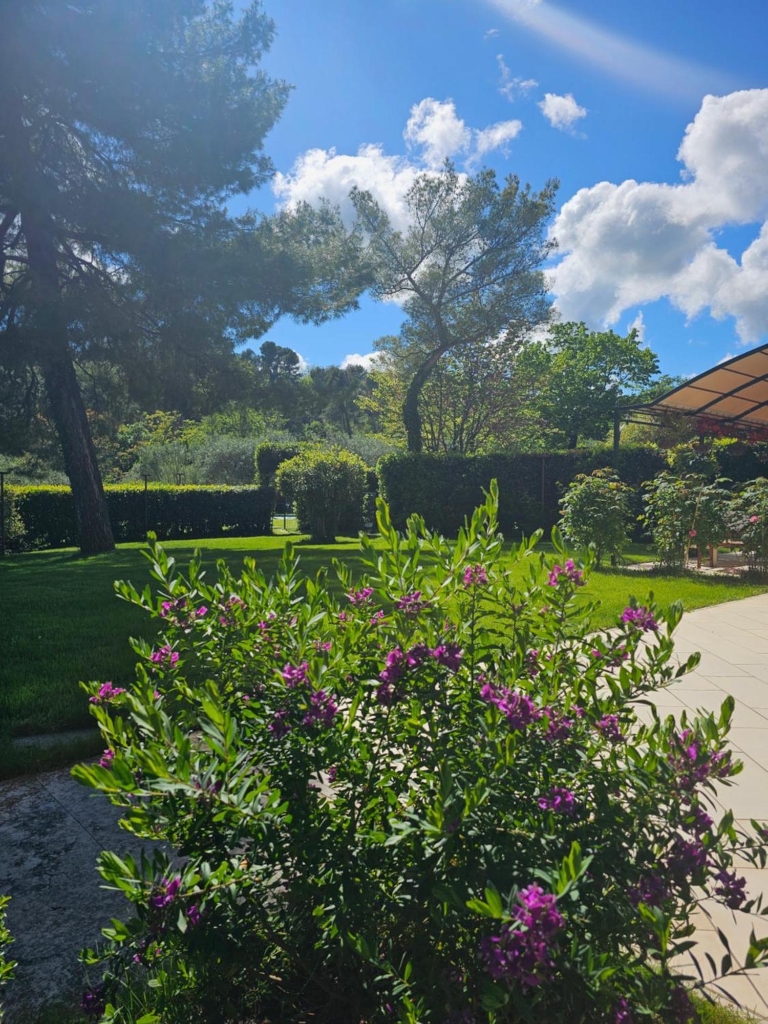 Villa Monacelli B&B Fano Exteriér fotografie